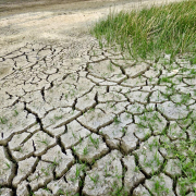 climate-change-drought-climate-stockpack-pixabay.jpg climate change, drought, seceta climate