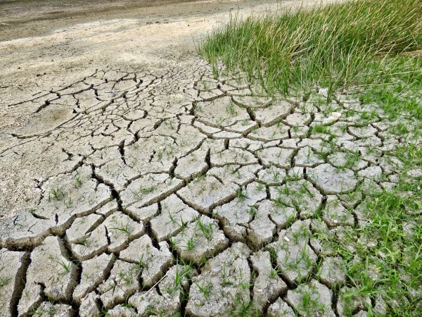 climate change, drought, seceta climate