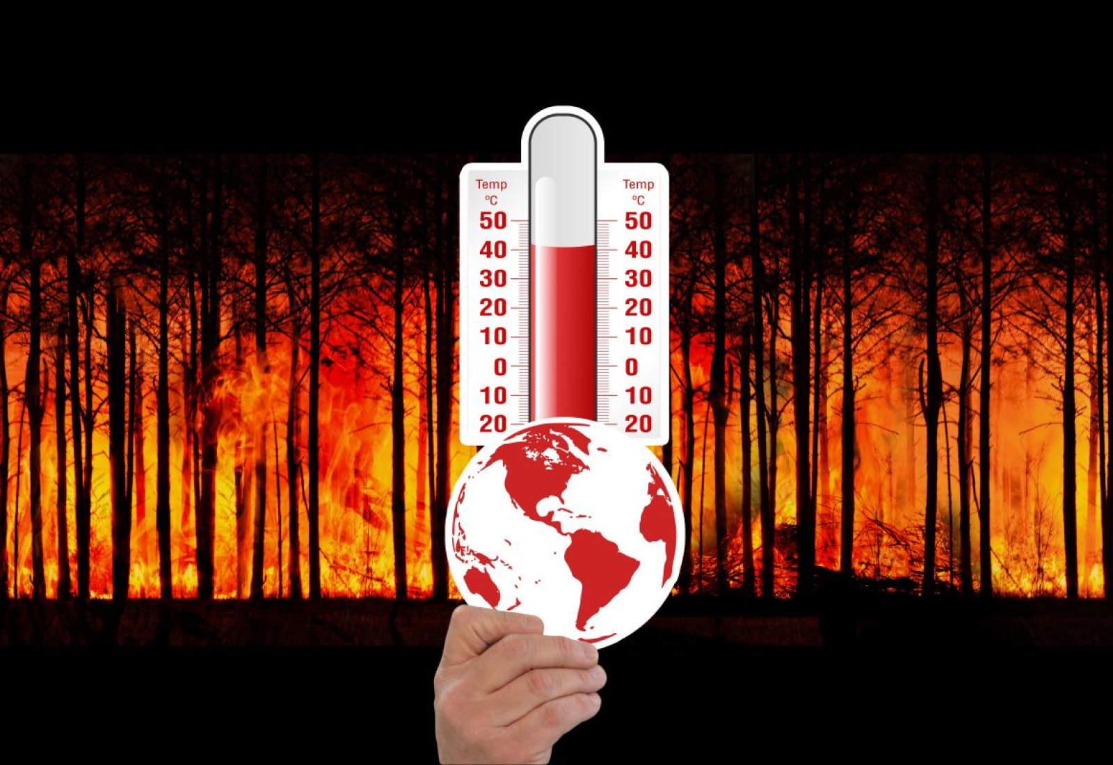 climate-change-thermometer-forest-fire-stockpack-pixabay.jpg climate change, thermometer, forest fire