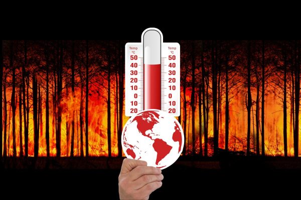 climate change, thermometer, forest fire