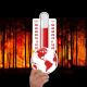 climate change, thermometer, forest fire