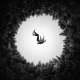 falling-male-trees-stockpack-pixabay.jpg falling, male, trees