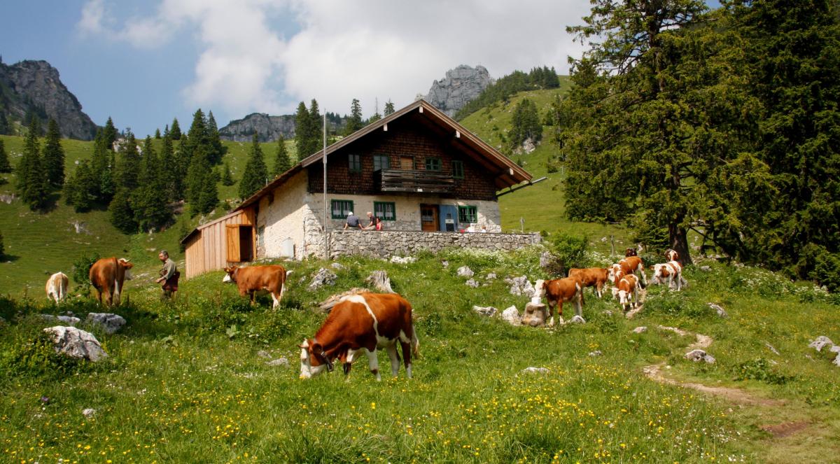 farm-agriculture-grass-stockpack-pixabay.jpg casa alpina ferma Austria Alpi vacanta