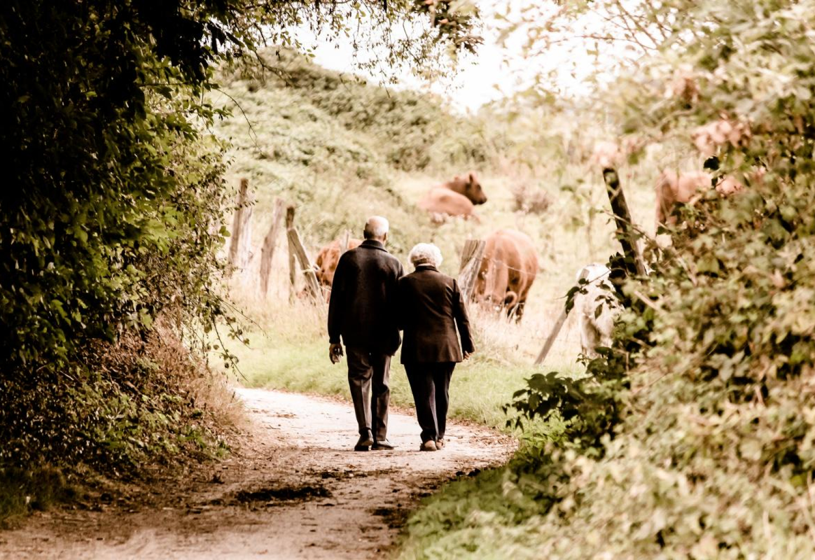 pair-seniors-pensioners-stockpack-pixabay.jpg pair, seniors, pensioners