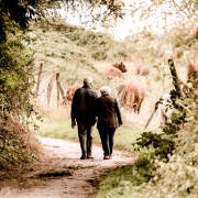 pair-seniors-pensioners-stockpack-pixabay.jpg pair, seniors, pensioners