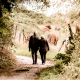 pair-seniors-pensioners-stockpack-pixabay.jpg pair, seniors, pensioners
