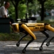 robot cățel singapore boston dynamics