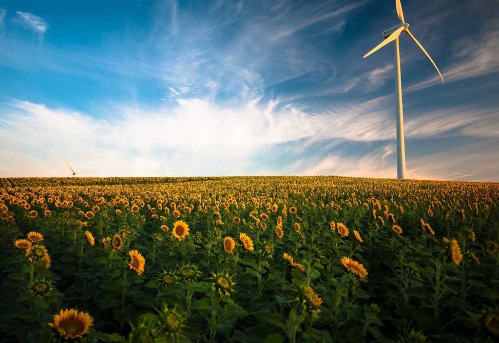 agriculture-sunflower-field-wind-energy-stockpack-pixabay.jpg agriculture, sunflower field, wind energy