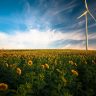 agriculture, sunflower field, wind energy