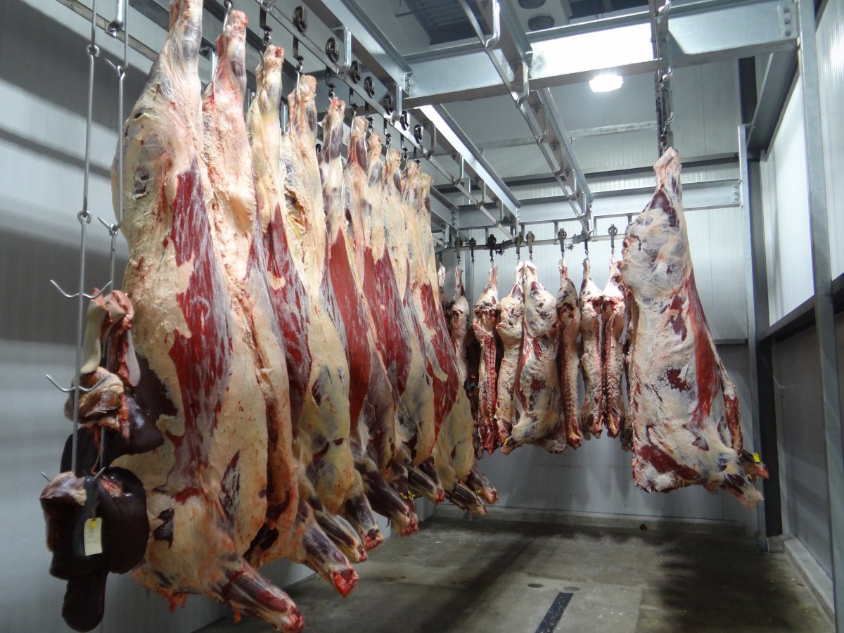 beef-cow-slaughterhouse-stockpack-pixabay.jpg beef, cow, slaughterhouse