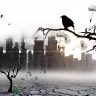 bird, city, blackbird