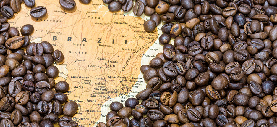 brazilia cafea