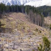 defrisare 60m