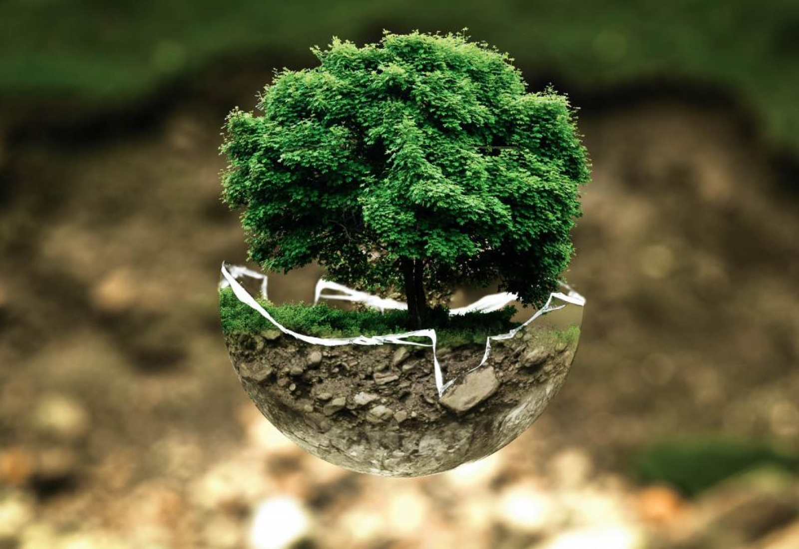 environmental-protection-environment-atmosphere-stockpack-pixabay.jpg environmental protection, environment, atmosphere