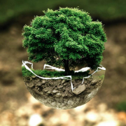 environmental-protection-environment-atmosphere-stockpack-pixabay.jpg environmental protection, environment, atmosphere