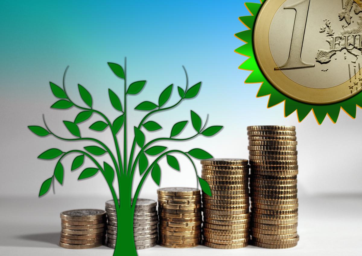 environmental-protection-nature-conservation-ecology-stockpack-pixabay.jpg environmental protection, nature conservation, ecology
