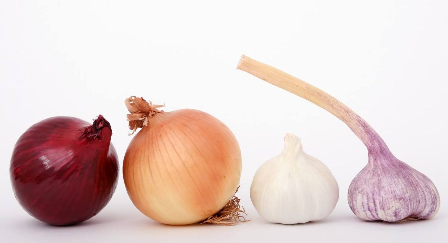 food, onions, garlic