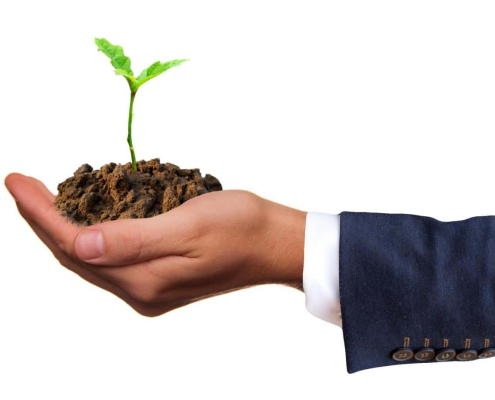 germ-plant-seedling-stockpack-pixabay.jpg germ, plant, seedling