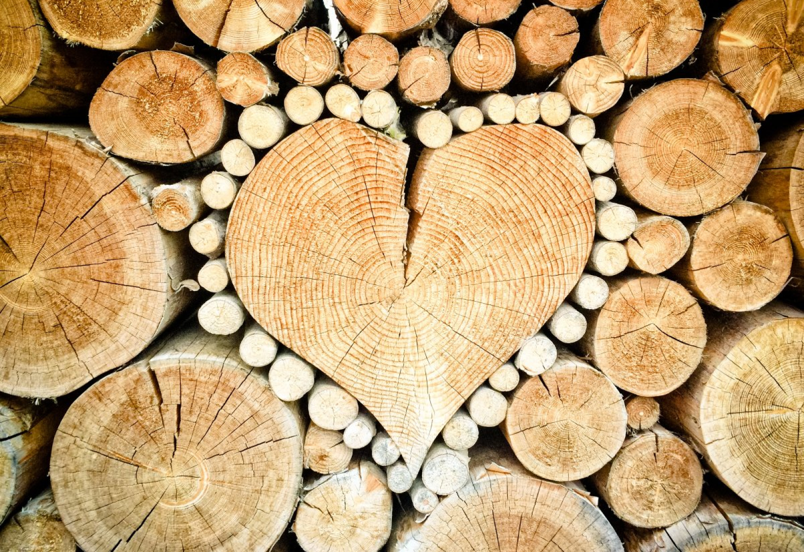 heart-wood-logs-stockpack-pixabay.jpg heart, wood, logs