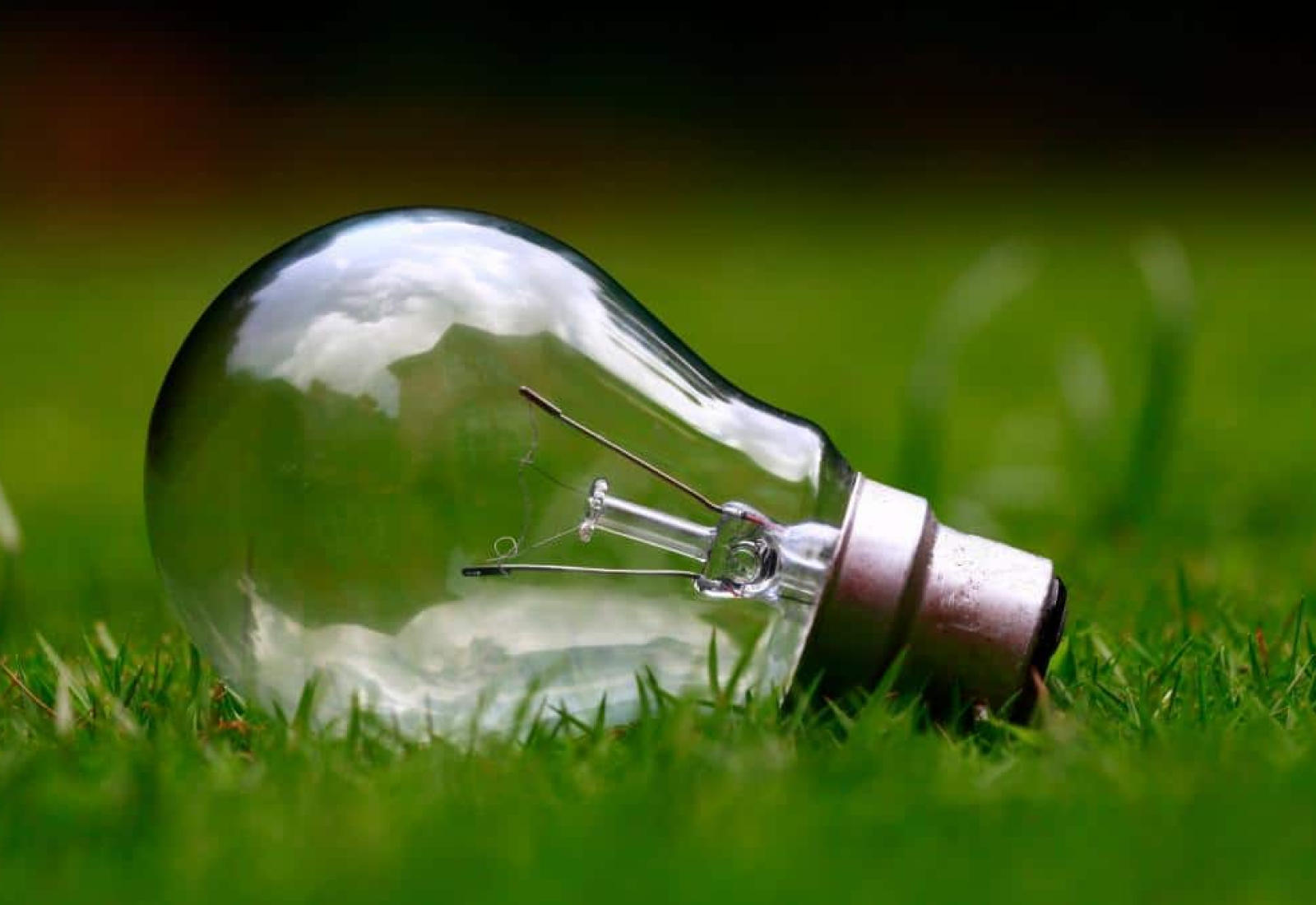 light-bulb-grass-bulb-stockpack-pixabay.jpg light bulb, grass, bulb