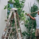 man-doing-gardening-stockpack-pexels.jpg Man doing gardening