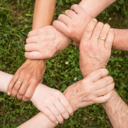 team-spirit-cohesion-together-stockpack-pixabay.jpg team spirit, cohesion, together