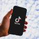 tiktok-social-media-app-stockpack-pixabay.jpg tiktok, social media, app