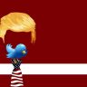 trump, twitter, bird