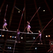 acrobats-circus-entertainment-stockpack-pixabay.jpg acrobats, circus, entertainment
