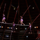 acrobats, circus, entertainment