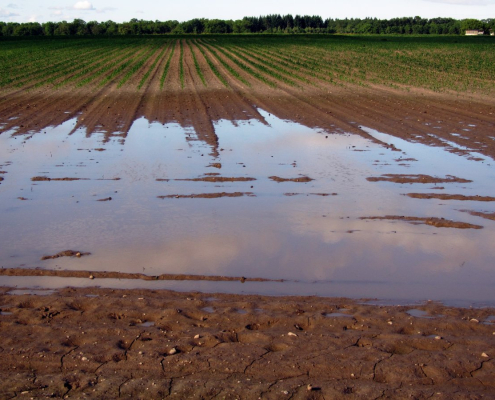 arable-field-flood-stockpack-pixabay.jpg arable, field, flood