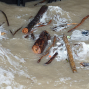 drift-wood-flotsam-and-jetsam-garbage-stockpack-pixabay.jpg drift wood, flotsam and jetsam, garbage