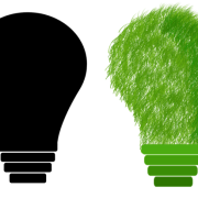 echo-environmentally-sustainable-ecology-stockpack-pixabay.png echo, environmentally sustainable, ecology