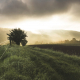 fence-rural-field-stockpack-pixabay.jpg fence, rural, field