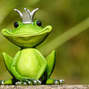 frog-frog-prince-prince-stockpack-pixabay.jpg frog, frog prince, prince