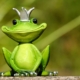 frog, frog prince, prince