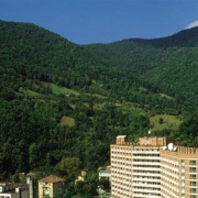 getimage (1) Getimage (1)