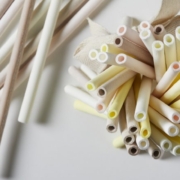 Paie Comestibile Sorbos
