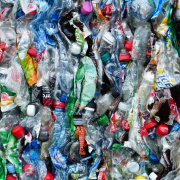 plastic-bottles-bottles-recycling-stockpack-pixabay.jpg plastic bottles, bottles, recycling