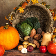 pumpkin, vegetables, autumn