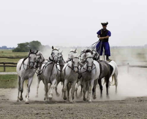 puszta-horse-farm-hungary-equestrian-demonstration-stockpack-pixabay.jpg puszta horse farm, hungary, equestrian demonstration