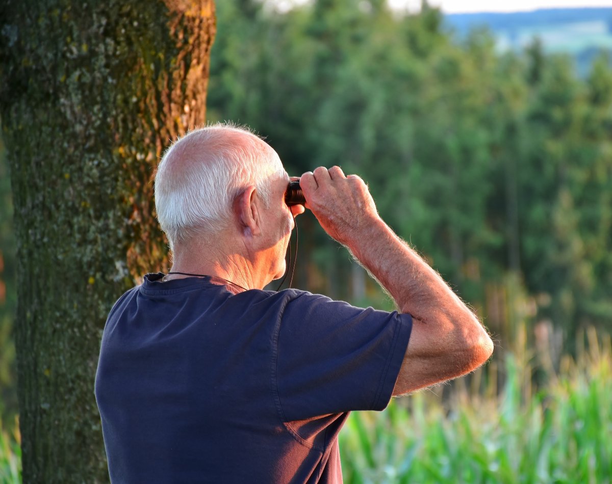 senior-man-male-stockpack-pixabay.jpg senior, man, male
