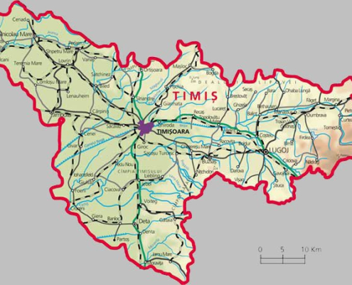 timis Timis