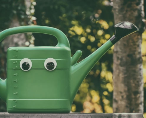 watering-can-garden-nature-stockpack-pixabay.jpg watering can, garden, nature