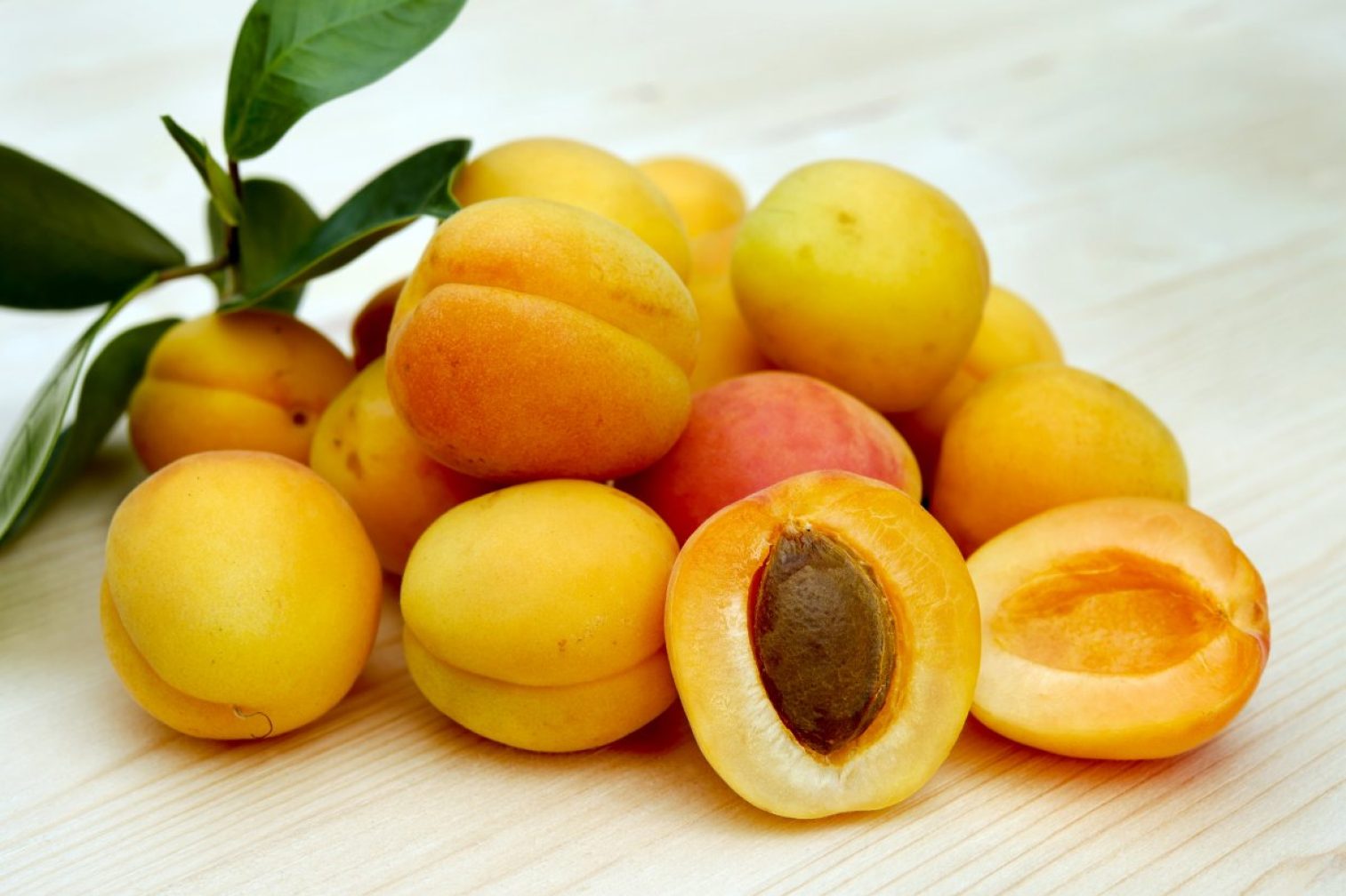 apricots, sugar apricots, fruit