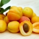 apricots-sugar-apricots-fruit-stockpack-pixabay.jpg apricots, sugar apricots, fruit