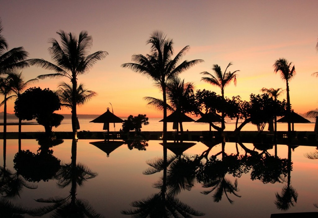 bali-palm-trees-sunset-stockpack-pixabay.jpg bali, palm trees, sunset