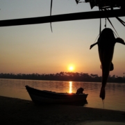 by-sunsets-sol-rio-stockpack-pixabay.jpg by sunsets, sol, rio