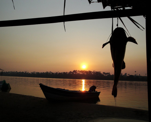 by-sunsets-sol-rio-stockpack-pixabay.jpg by sunsets, sol, rio