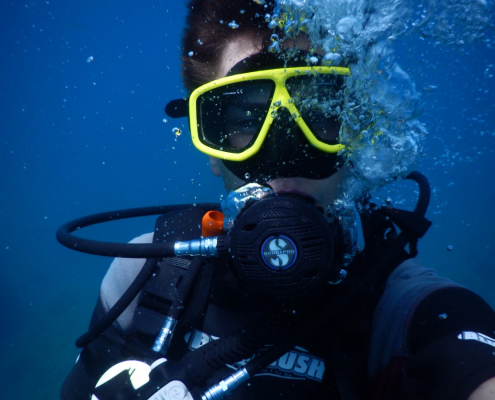 diving-divers-underwater-stockpack-pixabay.jpg diving, divers, underwater